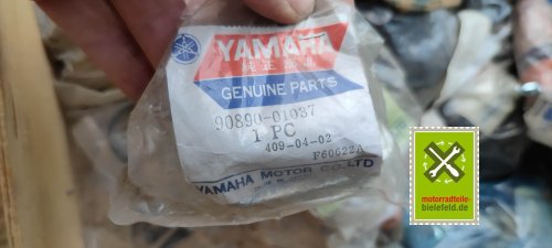 IMG_20230828_101303